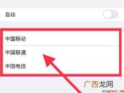 演示机型:Iphone 12 营运商网络怎样设置