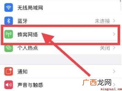 演示机型:Iphone 12 营运商网络怎样设置