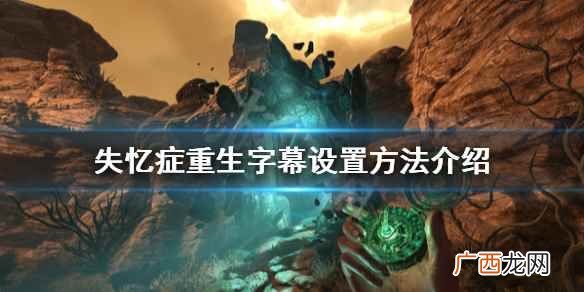 失忆症重生字幕设置方法介绍 失忆症重生字幕大小怎么设置