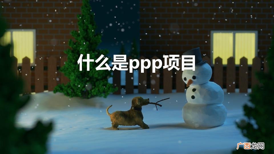什么是PPP项目 什么是ppp项目