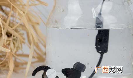 耳机带多了会引起头痛吗 耳机进水怎么弄出来