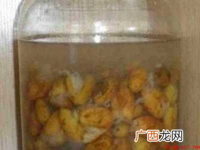 黄皮核怎么制作方法的具体操作步骤 黄皮核怎么制作方法