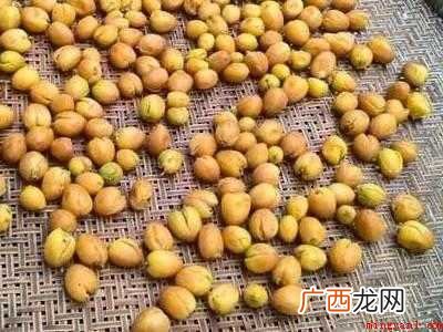 黄皮核怎么制作方法的具体操作步骤 黄皮核怎么制作方法