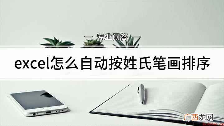 拼音排序和笔画排序的区别 excel怎么自动按姓氏笔画排序