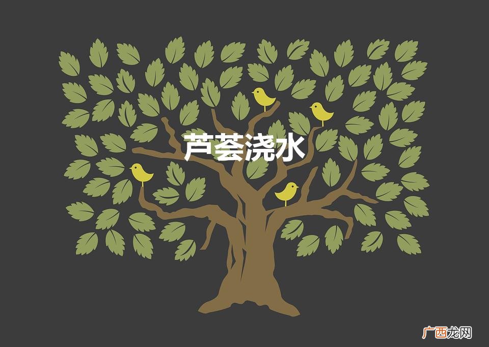 芦荟浇水（芦荟浇水多了变黄了怎么办)