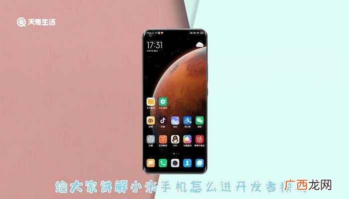 小米手机怎么进开发者模式 小米怎么进开发者模式