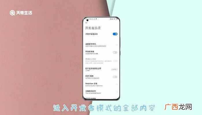 小米手机怎么进开发者模式 小米怎么进开发者模式