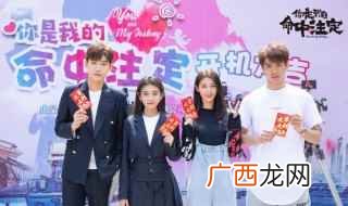 《你是我的命中注定》角色介绍 你是我的命中注定播出时间