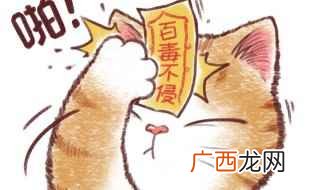 暴富暴瘦暴美的一句话 暴富暴美暴瘦的说说