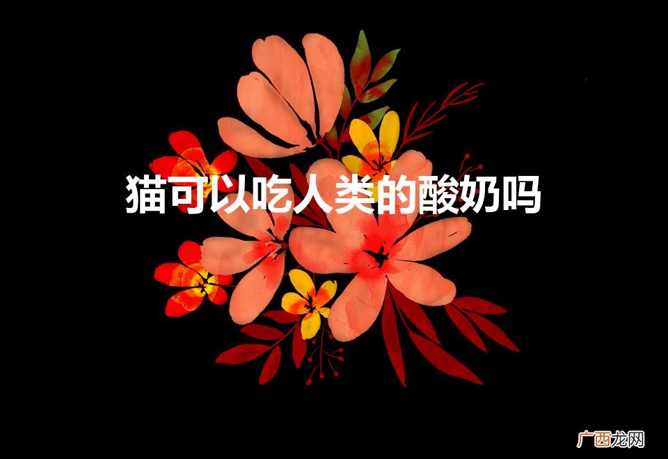 猫可不可以喝人喝的酸奶 猫可以吃人类的酸奶吗