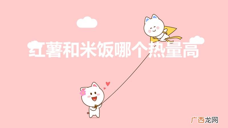 减肥药可以吃吗 红薯和米饭哪个热量高