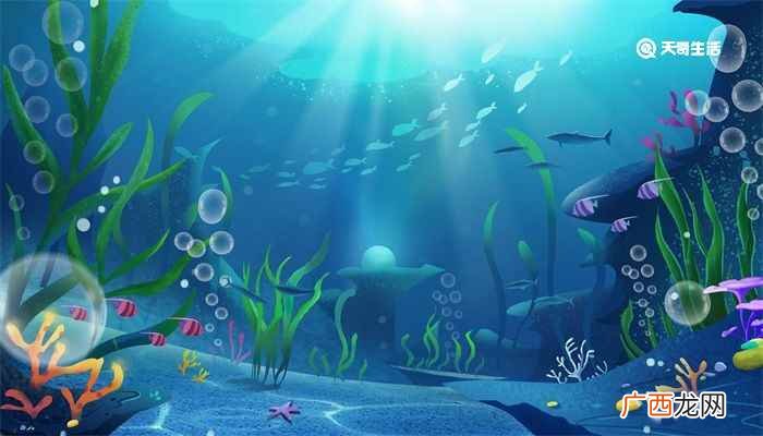 海底两万里好词 海底两万里好词摘抄赏析