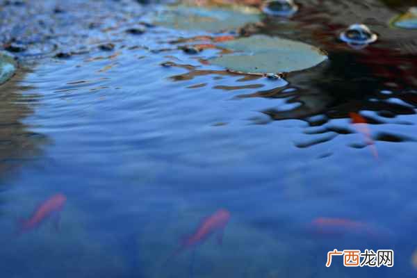 阳光照入潭水中形成深红色 浣溪沙的译文