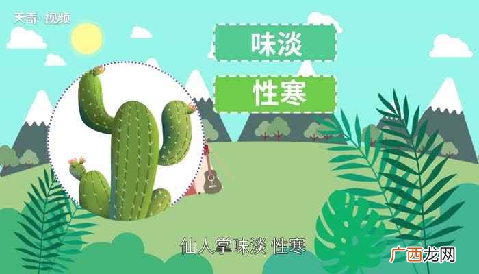 仙人掌的特点仙人掌的介绍