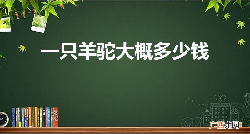 羊驼多少钱一头 一只羊驼大概多少钱