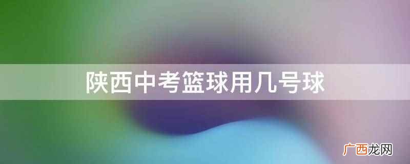 初中生中考专用篮球是几号球 陕西中考篮球用几号球