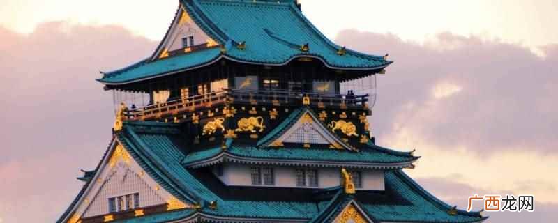 日本排球名场面 日本排球黑鹫旗是什么比赛