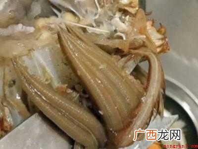 蟹怎么杀怎么清洗的具体操作步骤 蟹怎么杀怎么清洗