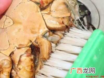 蟹怎么杀怎么清洗的具体操作步骤 蟹怎么杀怎么清洗