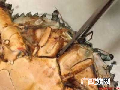 蟹怎么杀怎么清洗的具体操作步骤 蟹怎么杀怎么清洗