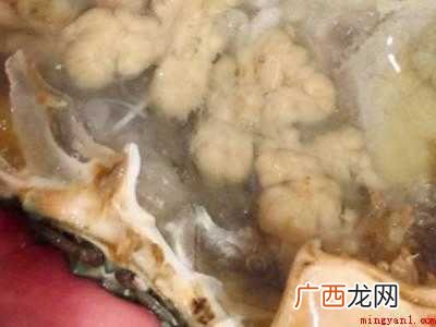 蟹怎么杀怎么清洗的具体操作步骤 蟹怎么杀怎么清洗