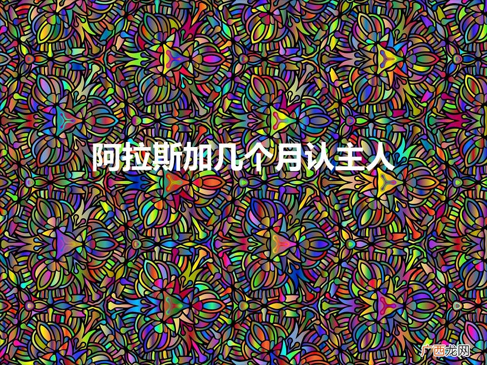 阿拉斯加几个月认主人（阿拉斯加怎么训练听话)