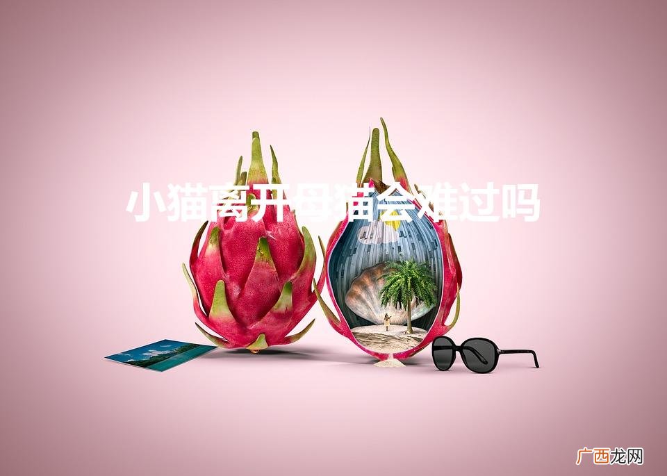 小猫送人母猫会难过吗 小猫离开母猫会难过吗