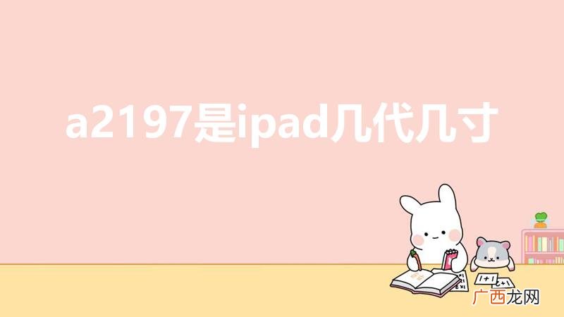 a2197是ipad几代几寸