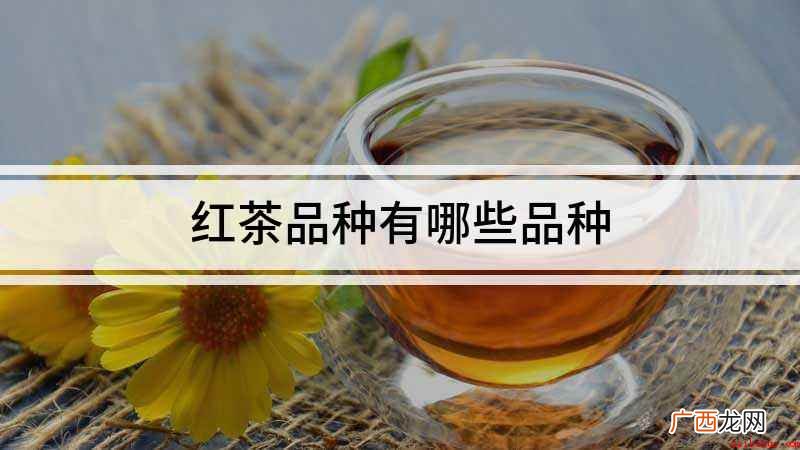 红茶主要有四大类,祁门红茶、锡兰高地红茶和阿萨姆红茶 红茶品种有哪些品种