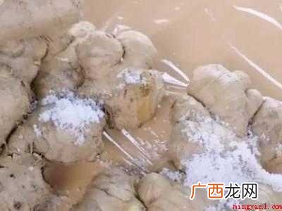 姜怎样保存才不干不烂的具体操作步骤 姜怎样保存才不干不烂