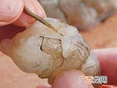 活虾怎么快速剥虾壳的具体操作步骤 活虾怎么快速剥虾壳