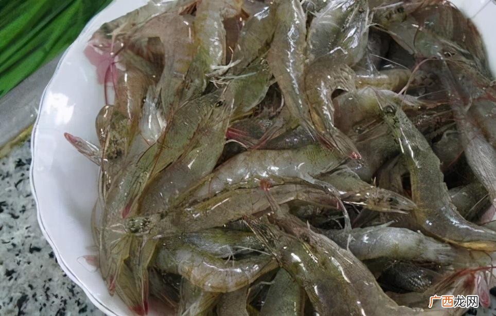 海虾和淡水虾的区别图 海虾和淡水虾的区别