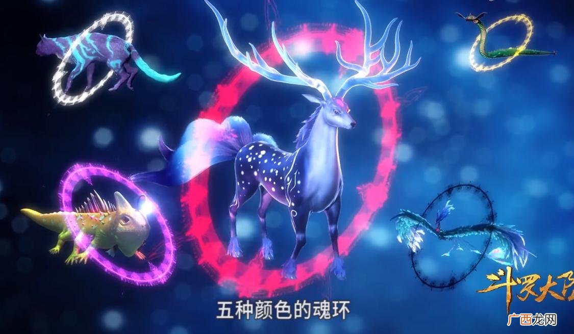 灰色魂环是多少年限 灰色魂环是多少年