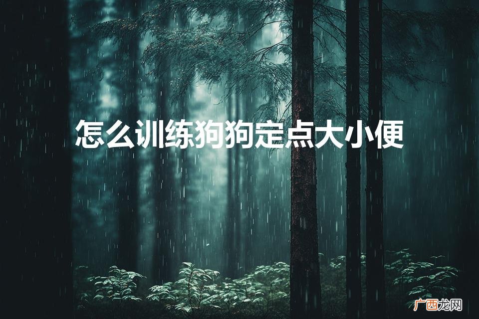 如何训练狗狗定点大小便 怎么训练狗狗定点大小便