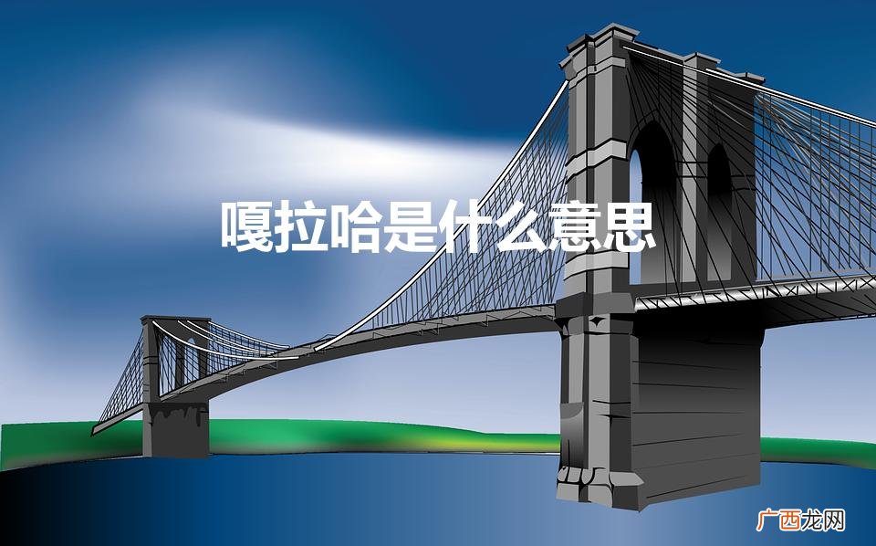 嘎拉哈是什么意思（嘎拉哈怎么玩儿)
