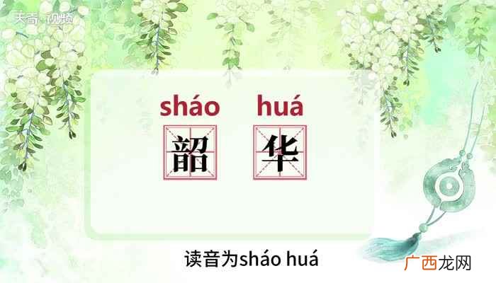 韶华的意思 韶华的意思是什么