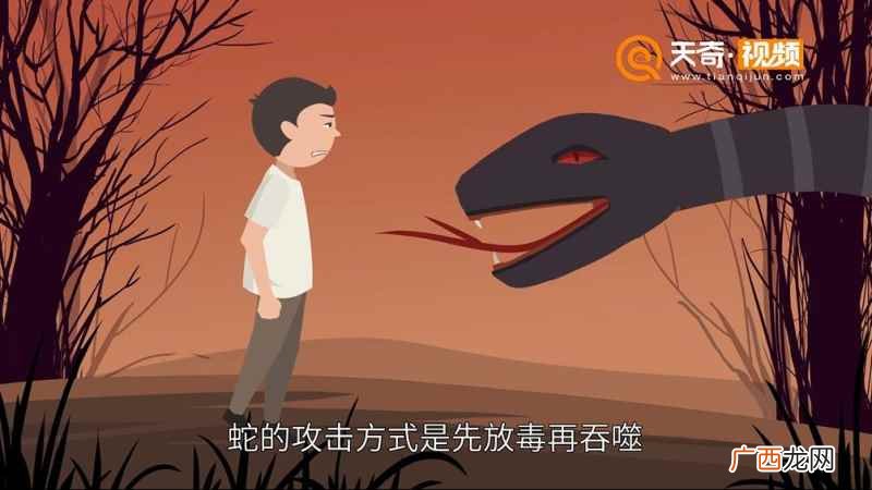 做生意男士梦见被蛇追预示 梦见被蛇追是什么意思