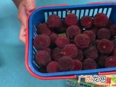 杨梅买太多了怎么保鲜的具体操作步骤 杨梅买太多了怎么保鲜