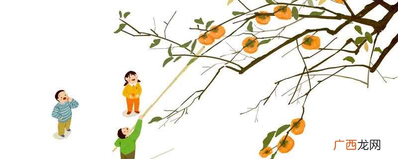 寒露是什么意思 寒露介绍