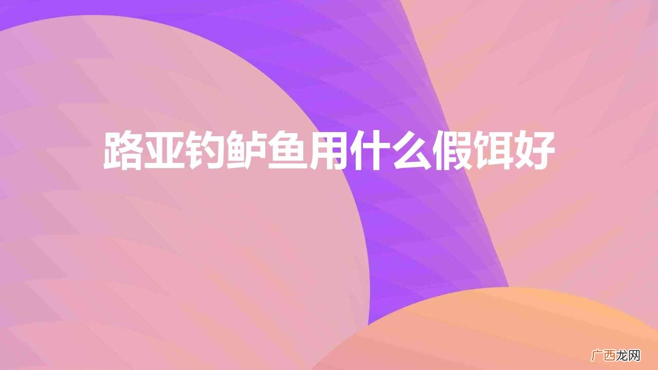 路亚钓鲈鱼用什么假饵好
