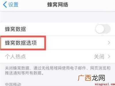 苹果低数据模式的具体操作步骤 苹果低数据模式
