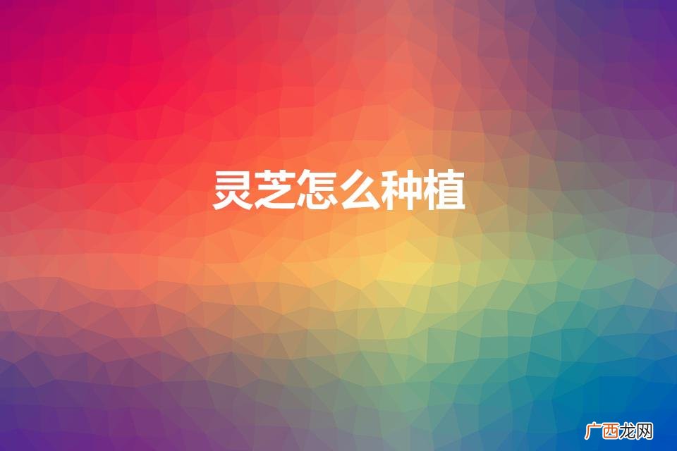 灵芝怎么种植方法视频 灵芝怎么种植
