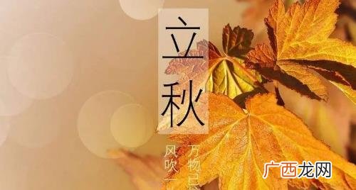 2022年立秋时间几点几分几秒钟 2022年立秋时间几点几分几秒