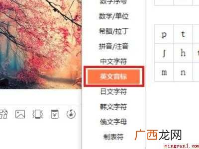 键盘怎么打国际音标的具体操作步骤 键盘怎么打国际音标