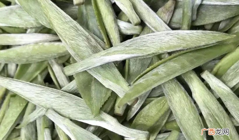 白毫银针保存的方法 白毫银针属于什么茶