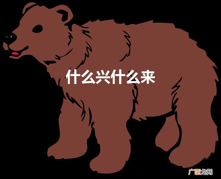 四字成语什么兴什么来 什么兴什么来