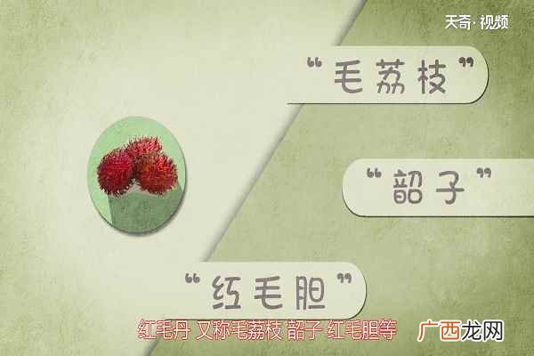 红毛丹适合和什么食物一起搭配 红毛丹的功效与作用