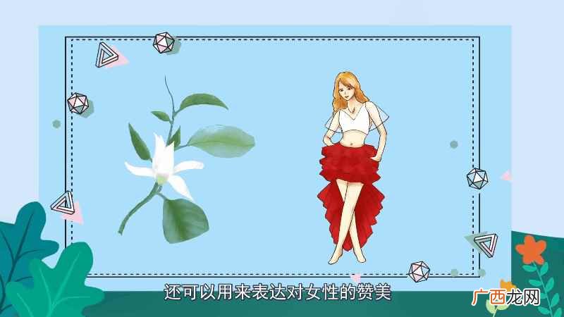 白兰花花语是什么意思 白兰花花语是什么