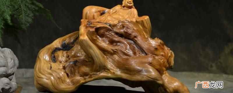 崖柏的种子有果皮保护,崖柏为柏科 崖柏的种子有果皮保护吗