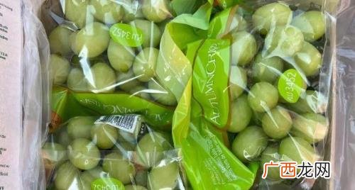 秋天脆青提独特的味道 最便宜的青提多少钱一斤